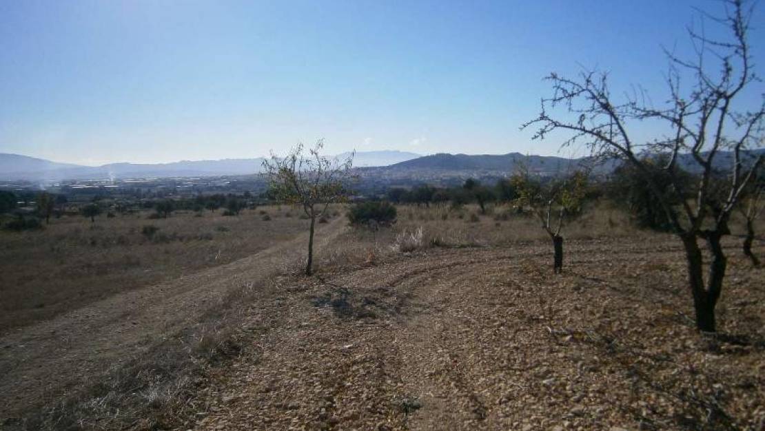 Sale - Land - Yecla - Yecla Centro
