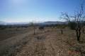 Sale - Land - Yecla - Yecla Centro