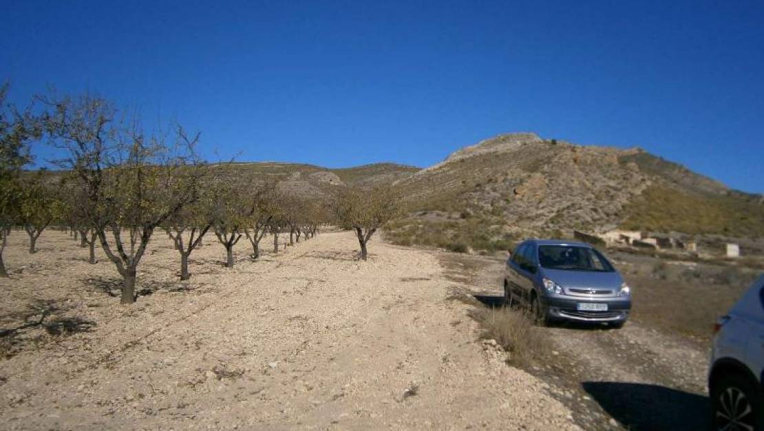 Sale - Land - Yecla - Yecla Centro