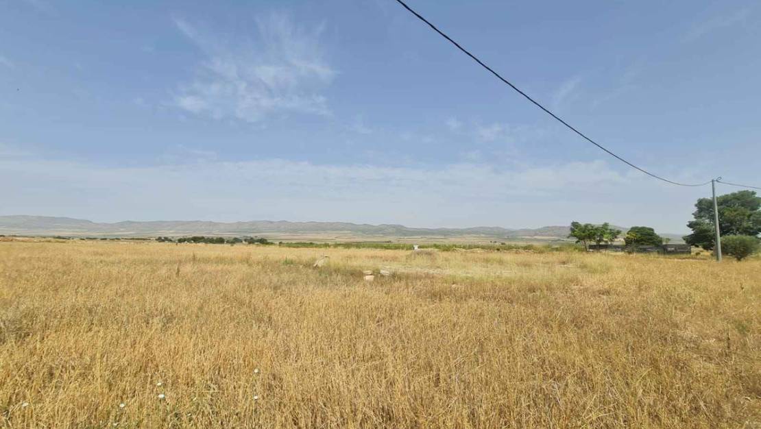 Sale - Land - Yecla - Yecla Centro