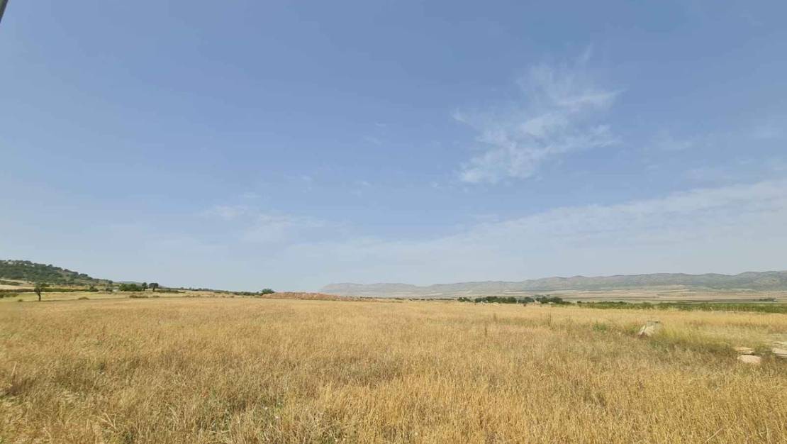 Sale - Land - Yecla - Yecla Centro