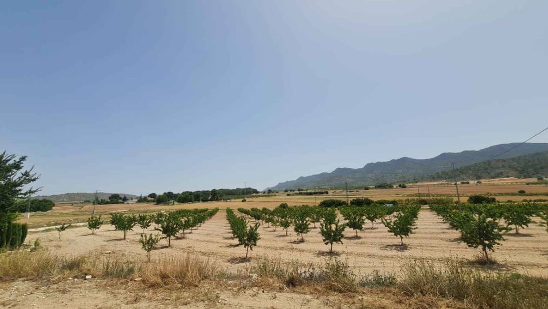 Sale - Land - Yecla - Yecla Centro