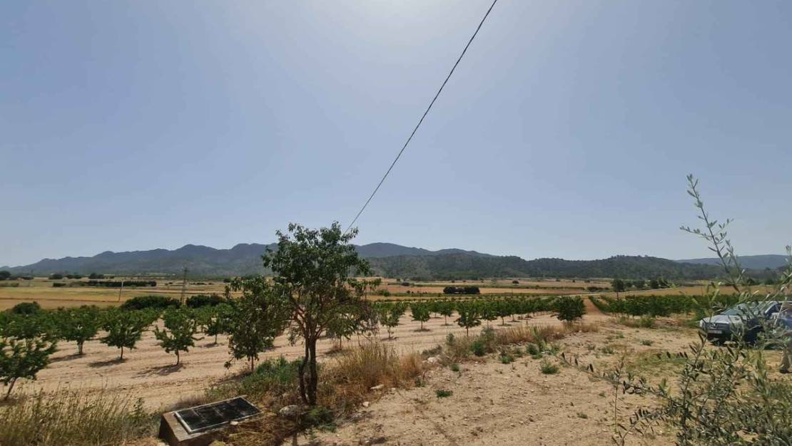 Sale - Land - Yecla - Yecla Centro