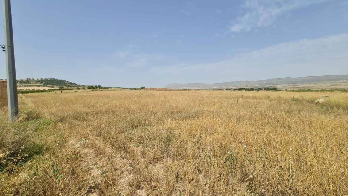 Sale - Land - Yecla - Yecla Centro