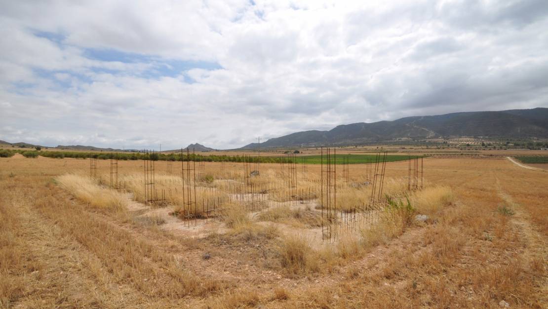 Sale - Land - Yecla - Yecla Centro