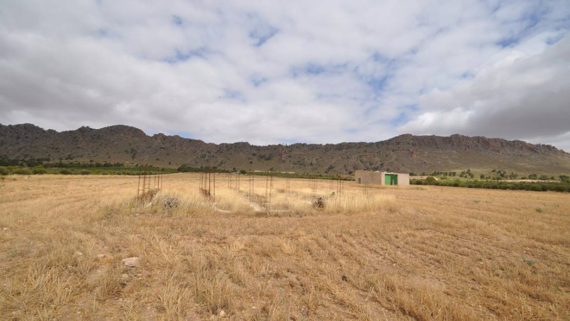 Sale - Land - Yecla - Yecla Centro