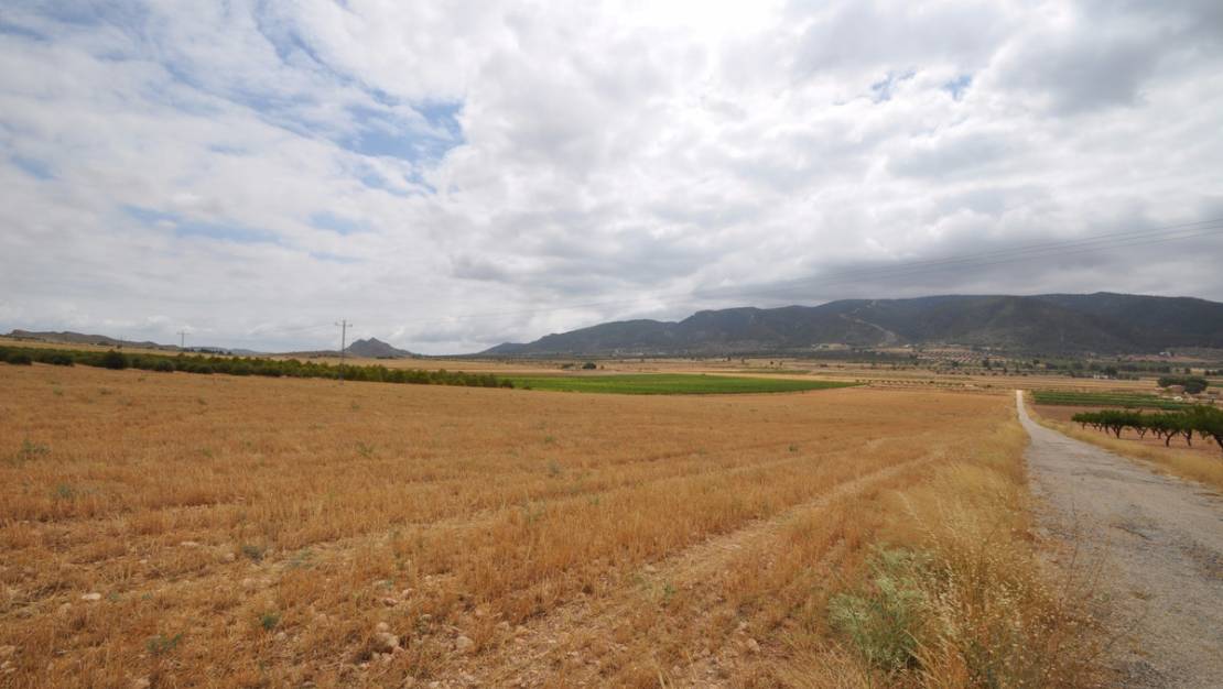 Sale - Land - Yecla - Yecla Centro