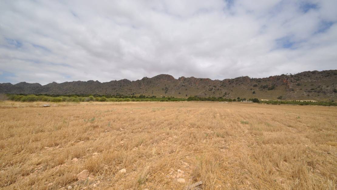 Sale - Land - Yecla - Yecla Centro