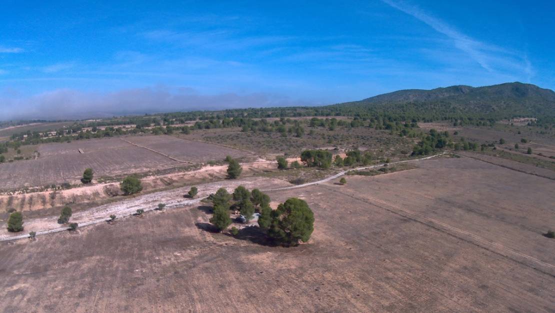 Sale - Land - Yecla - Yecla Centro