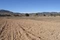 Sale - Land - Yecla - Yecla Centro