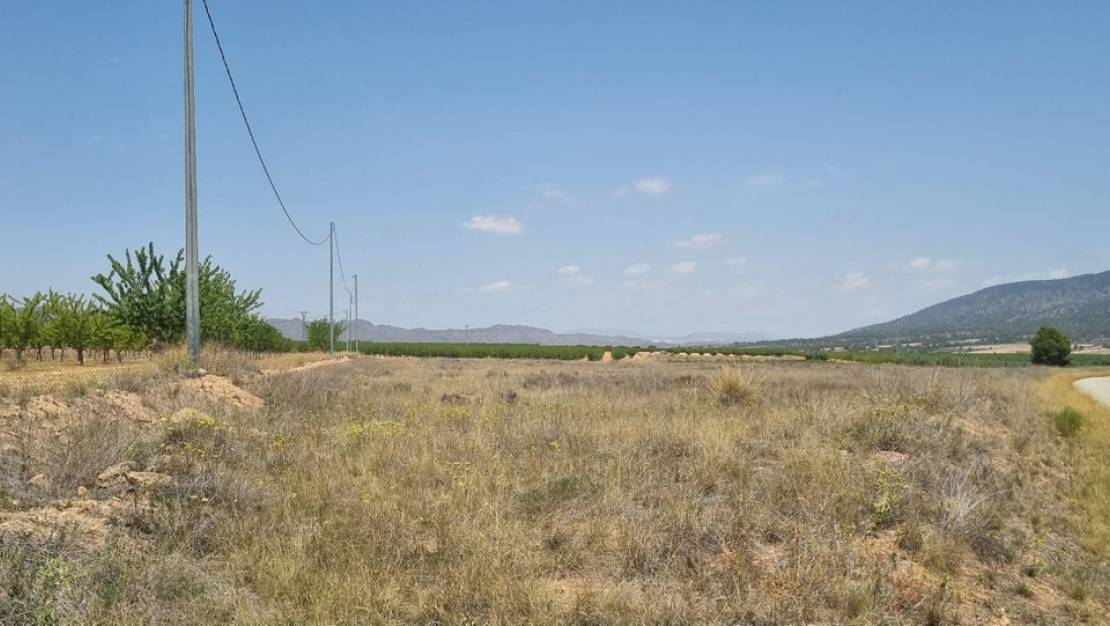 Sale - Land - Yecla - Yecla Centro