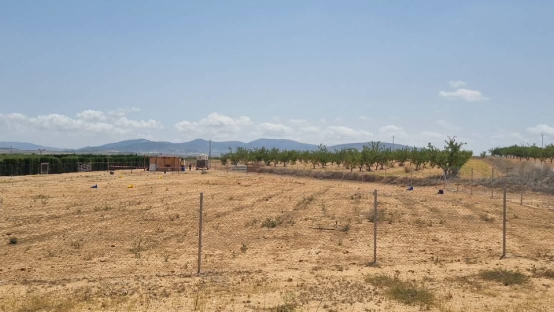 Sale - Land - Yecla - Yecla Centro