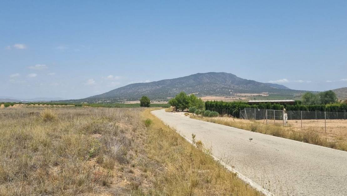 Sale - Land - Yecla - Yecla Centro