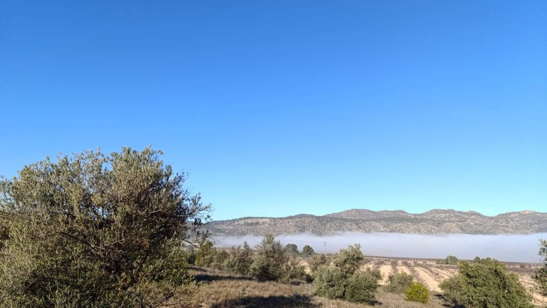 Sale - Land - Yecla - Yecla Centro