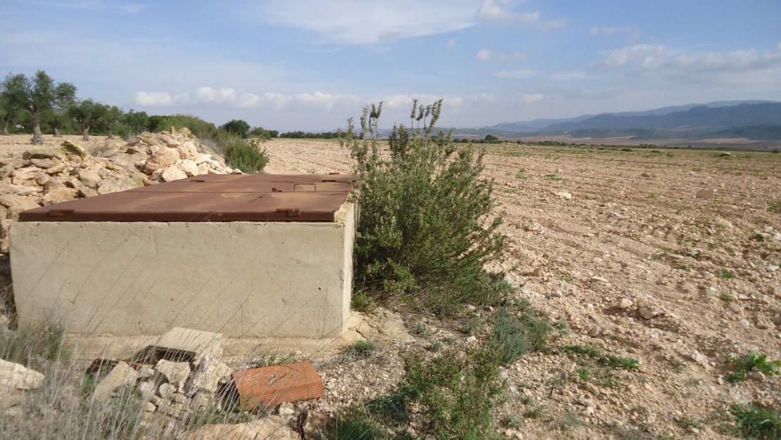 Sale - Land - Yecla - Yecla Centro