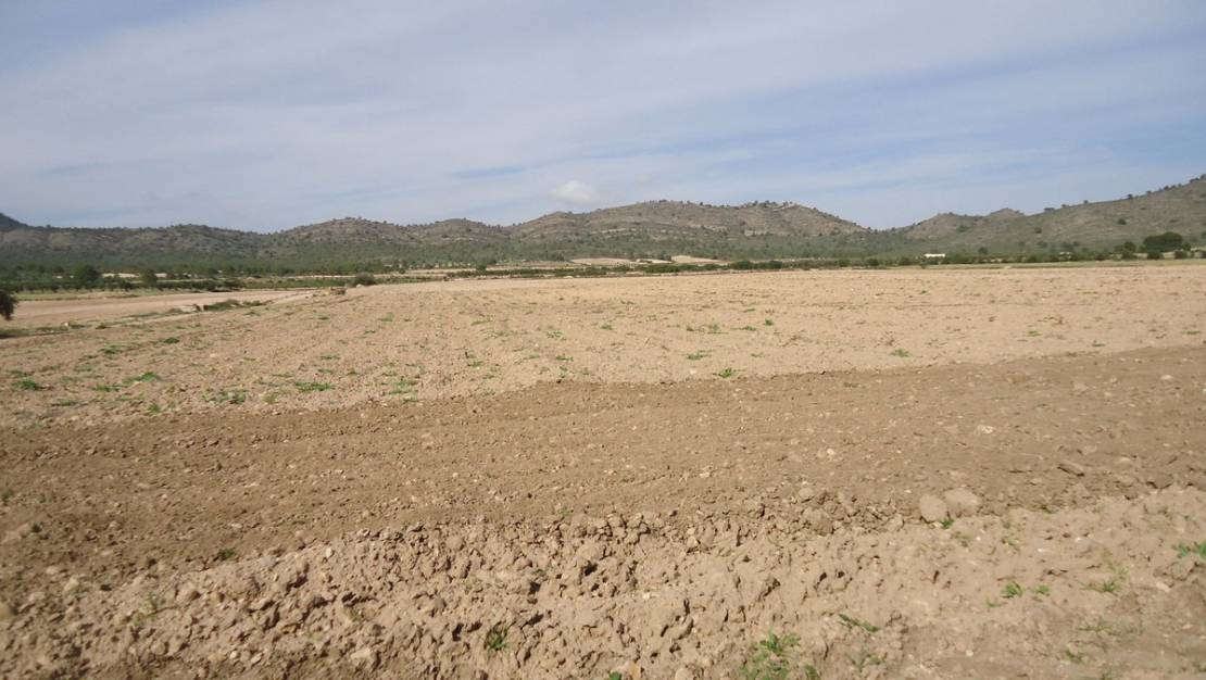 Sale - Land - Yecla - Yecla Centro