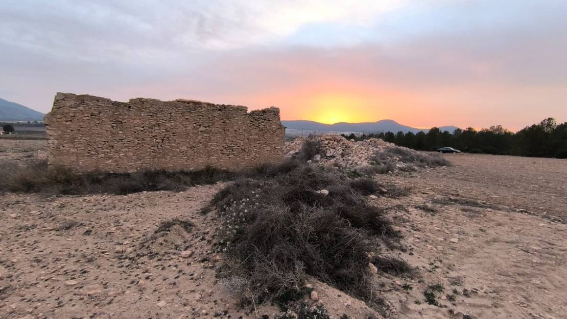 Sale - Land - Yecla - Yecla Centro