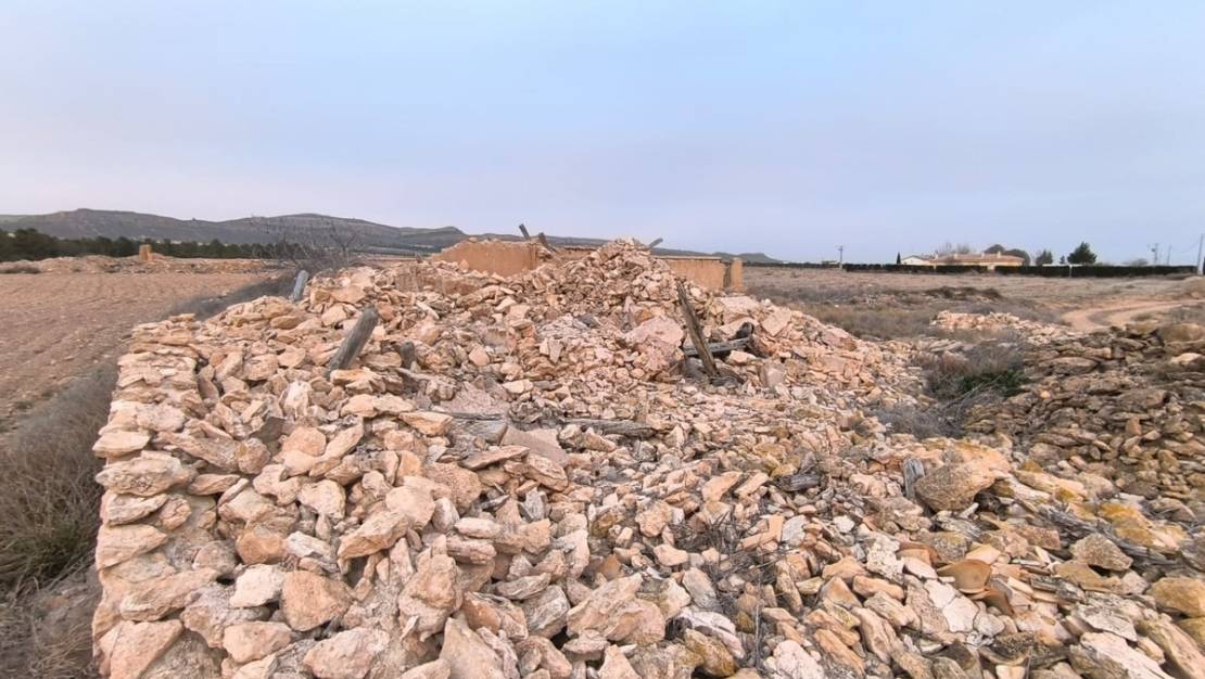 Sale - Land - Yecla - Yecla Centro