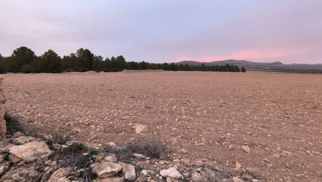 Sale - Land - Yecla - Yecla Centro