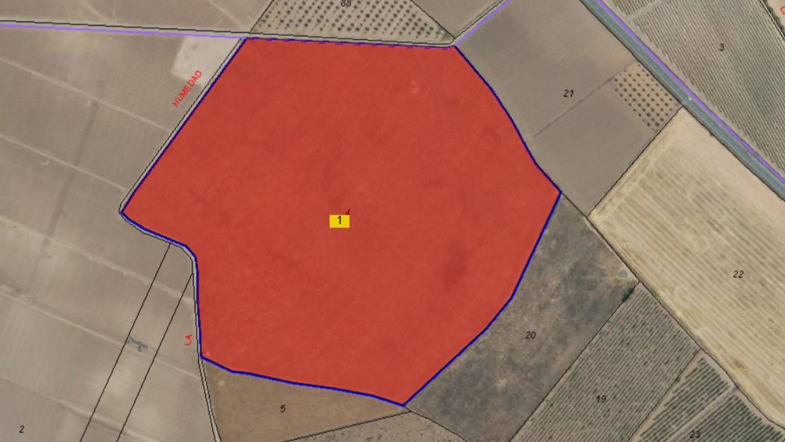 Sale - Land - Yecla - Yecla Centro