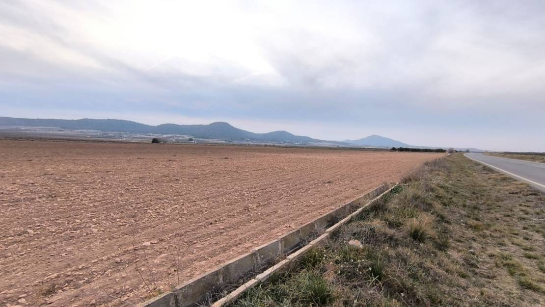 Sale - Land - Yecla - Yecla Centro