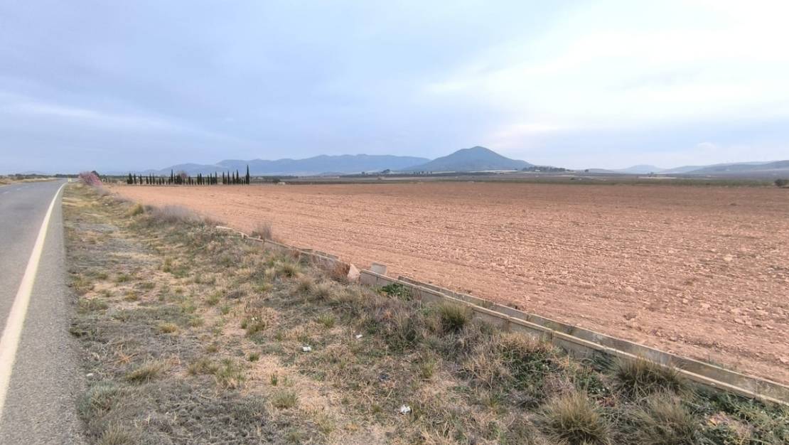 Sale - Land - Yecla - Yecla Centro