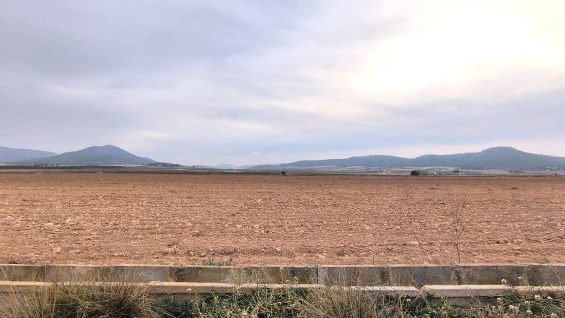 Sale - Land - Yecla - Yecla Centro