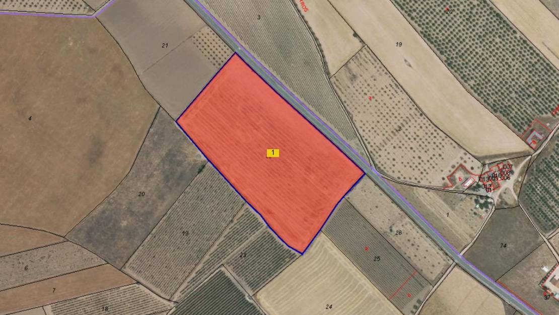 Sale - Land - Yecla - Yecla Centro