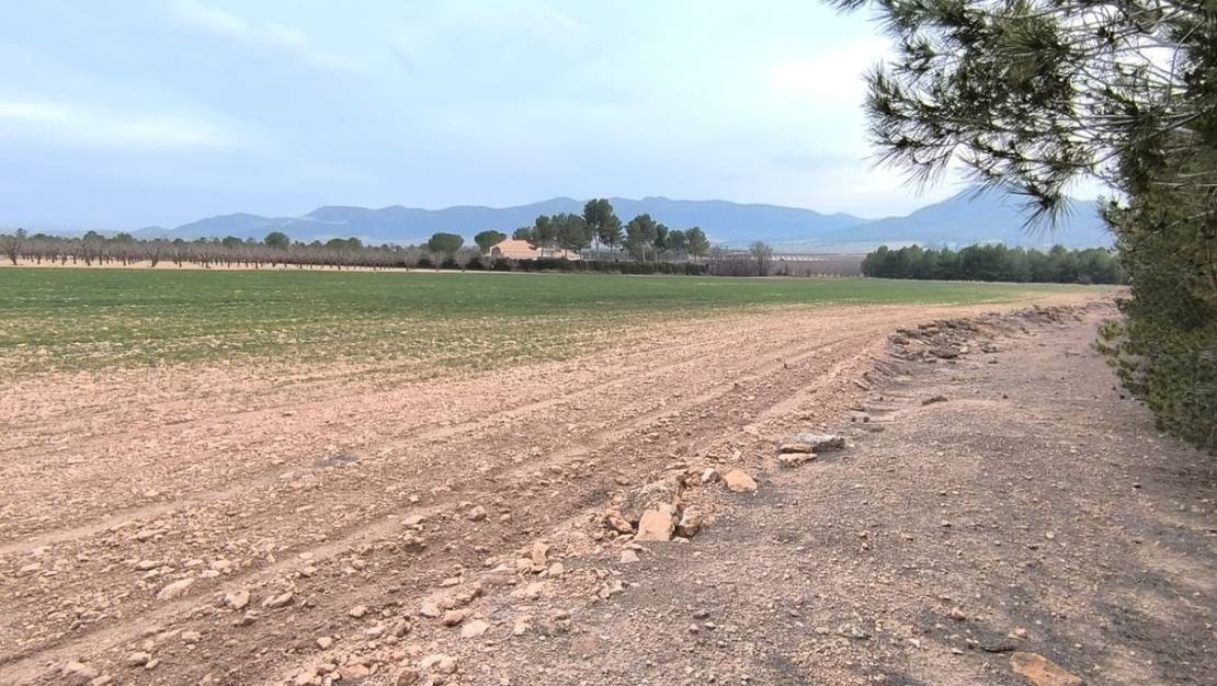 Sale - Land - Yecla - Yecla Centro