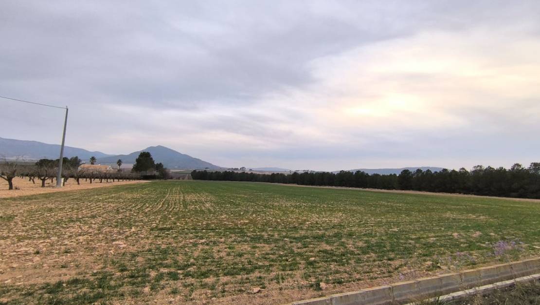 Sale - Land - Yecla - Yecla Centro