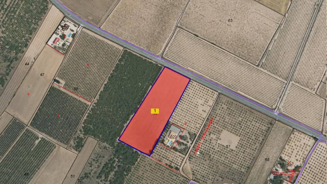 Sale - Land - Yecla - Yecla Centro