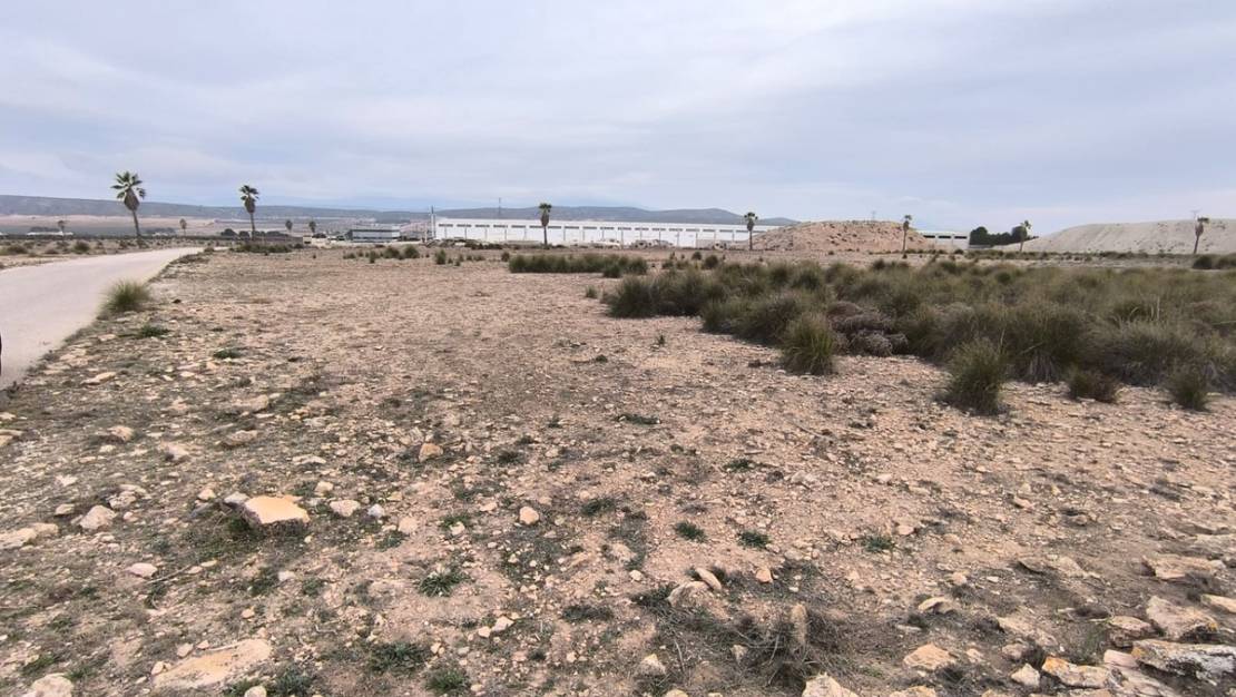 Sale - Land - Yecla - Yecla Centro