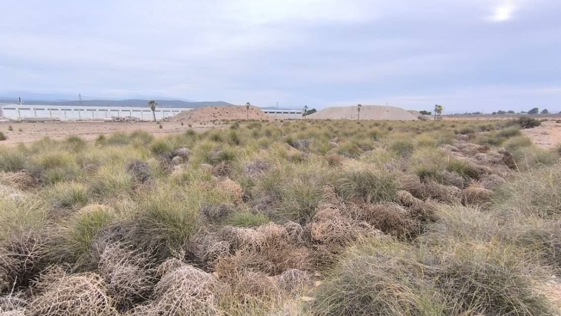 Sale - Land - Yecla - Yecla Centro