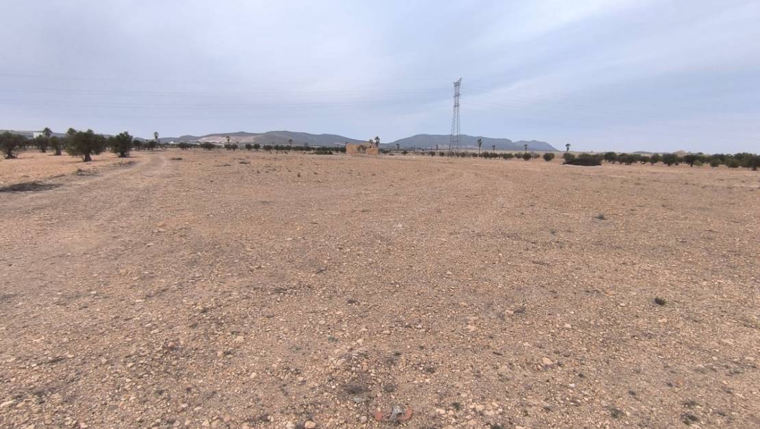 Sale - Land - Yecla - Yecla Centro