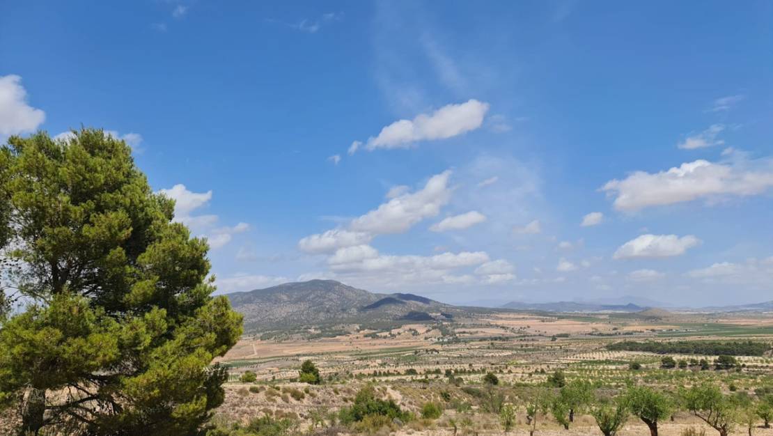 Sale - Land - Yecla - Yecla Centro