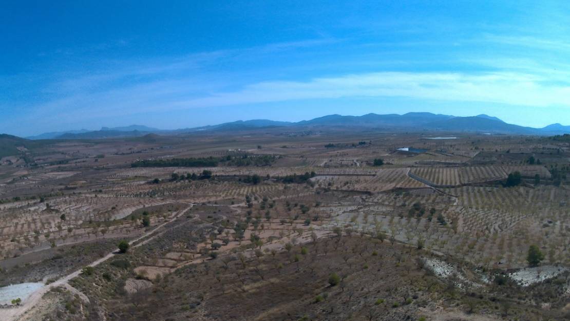 Sale - Land - Yecla - Yecla Centro