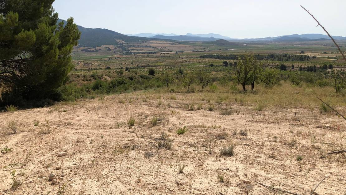 Sale - Land - Yecla - Yecla Centro