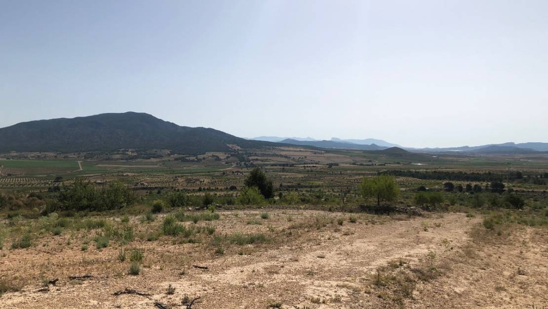 Sale - Land - Yecla - Yecla Centro