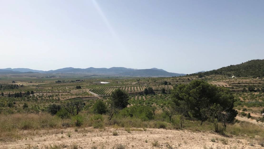 Sale - Land - Yecla - Yecla Centro