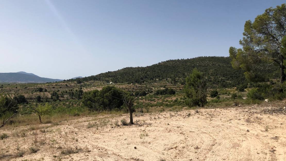 Sale - Land - Yecla - Yecla Centro