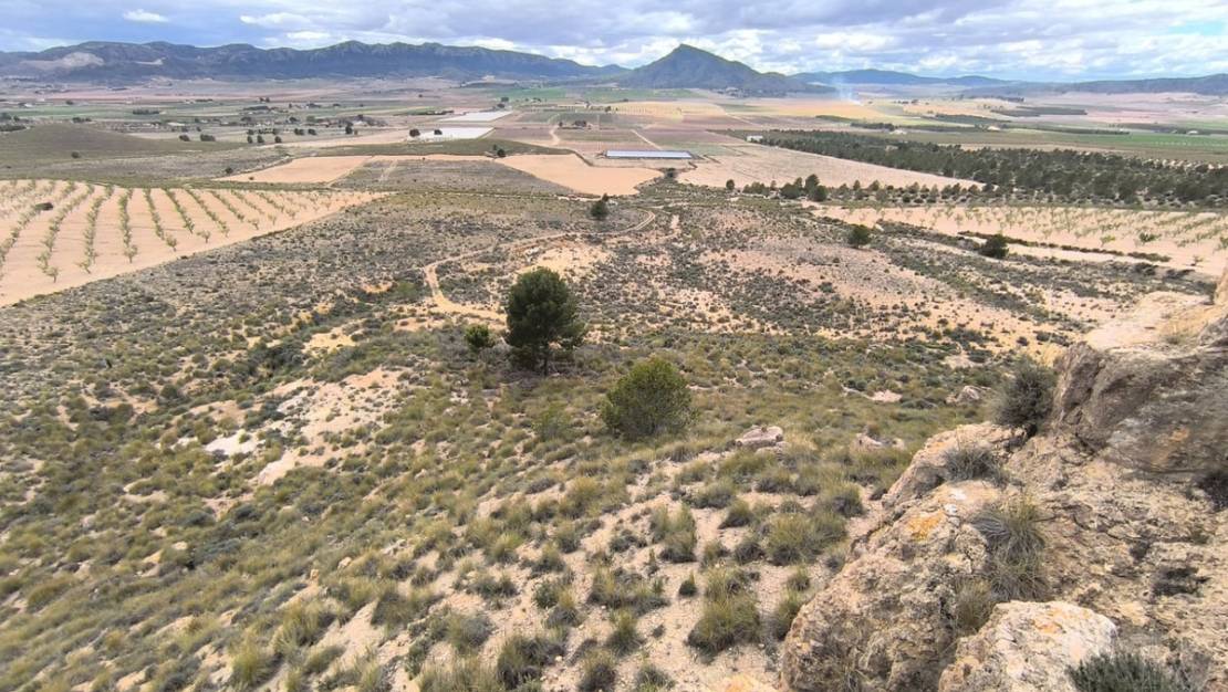 Sale - Land - Yecla - Yecla Centro