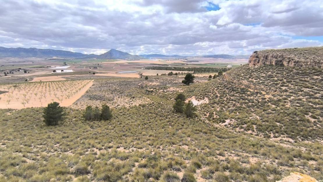 Sale - Land - Yecla - Yecla Centro