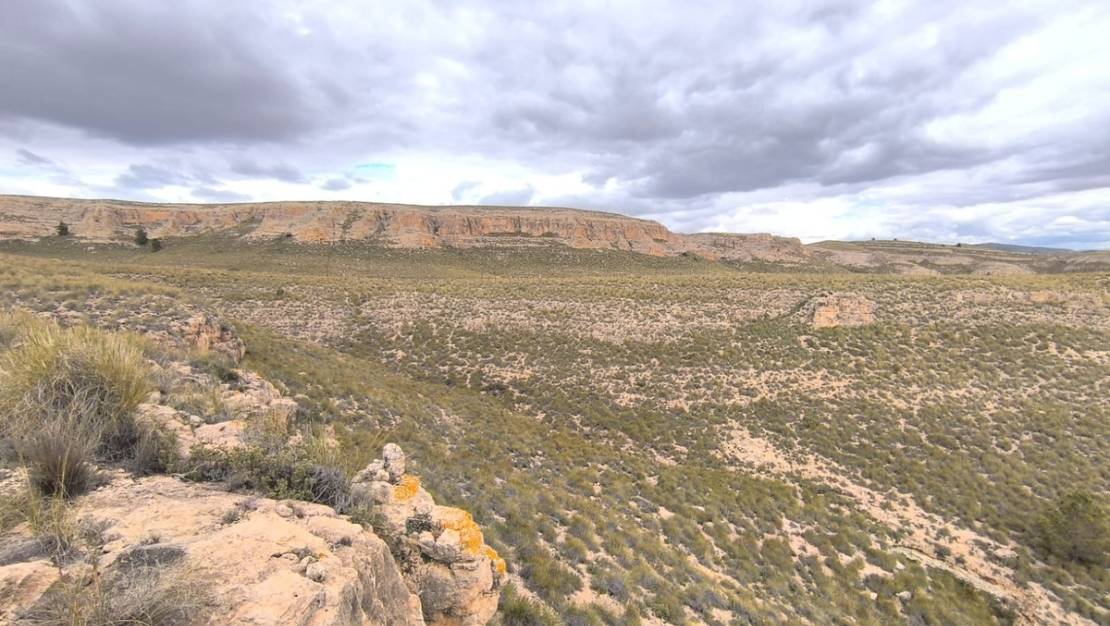 Sale - Land - Yecla - Yecla Centro