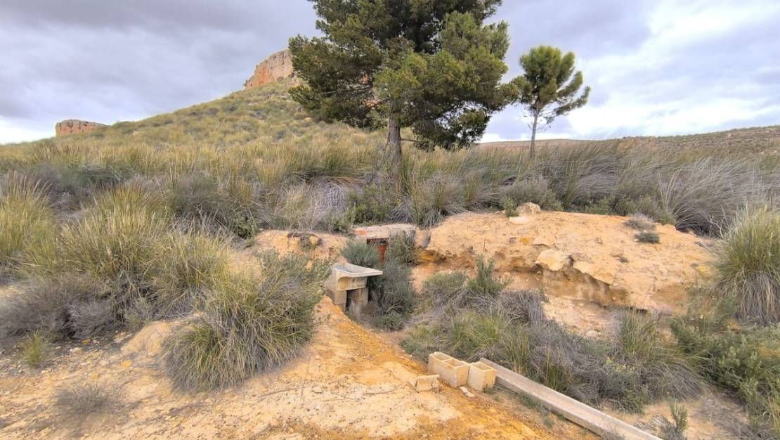 Sale - Land - Yecla - Yecla Centro