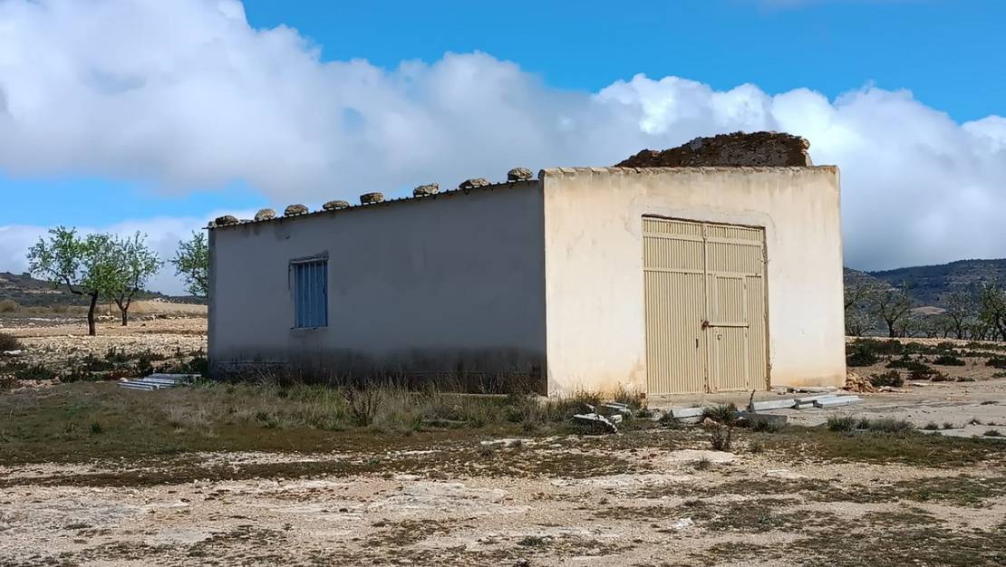 Sale - Land - Yecla - Yecla Centro