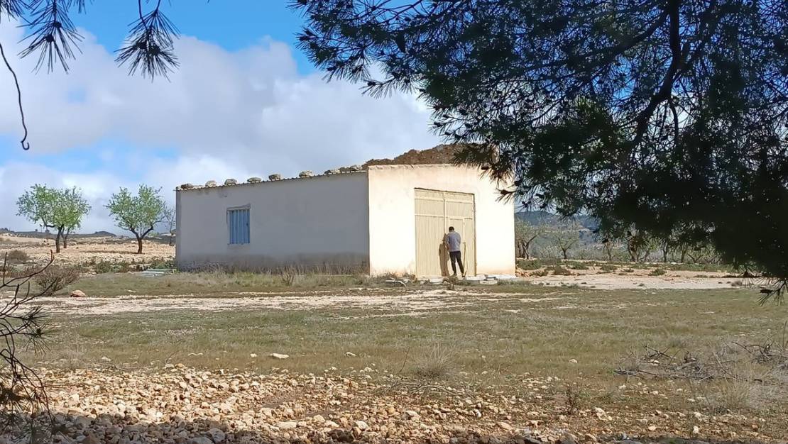 Sale - Land - Yecla - Yecla Centro