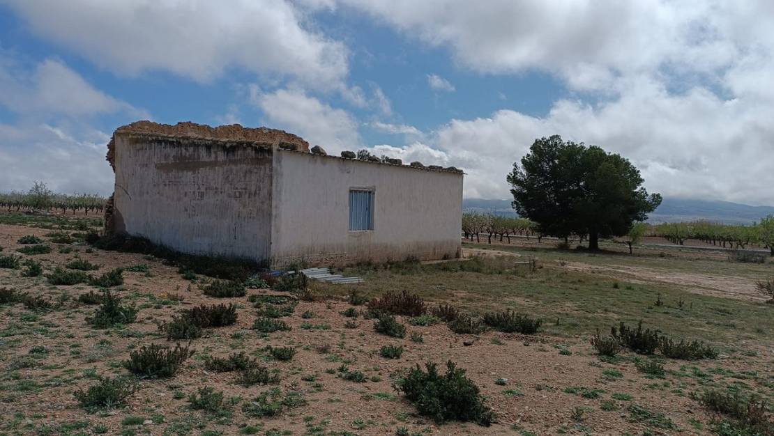 Sale - Land - Yecla - Yecla Centro