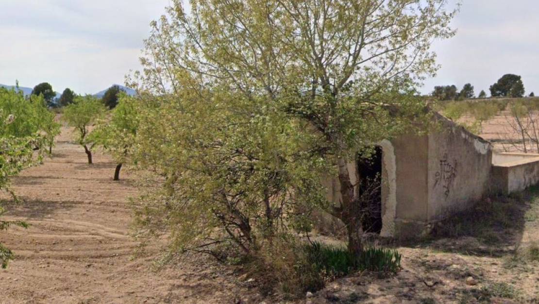 Sale - Land - Yecla - Yecla Centro