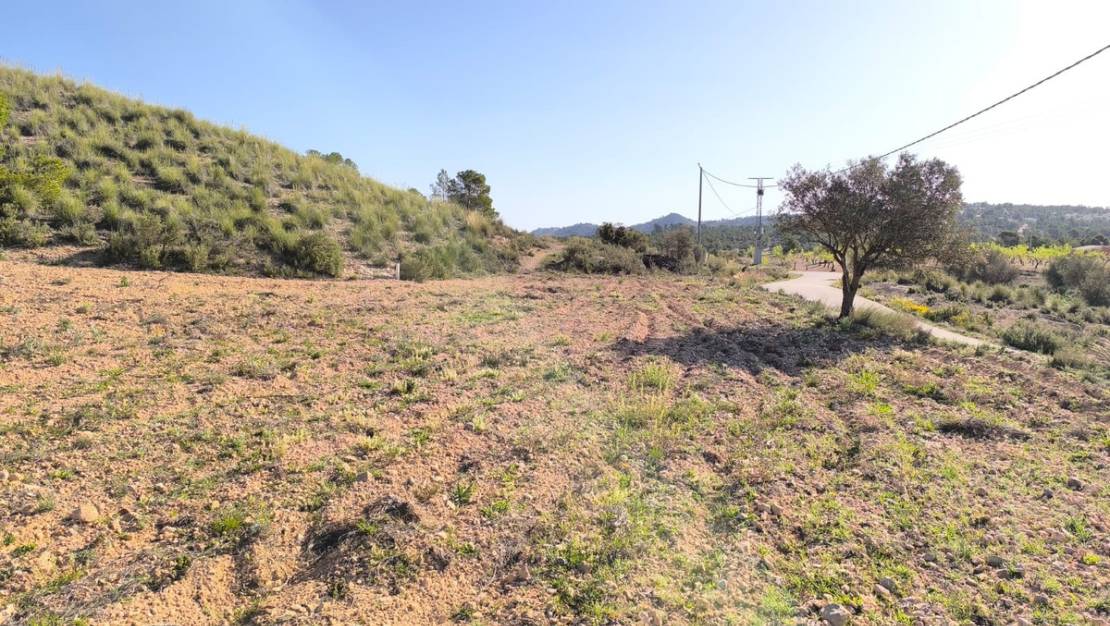 Sale - Land - Yecla - Yecla Centro