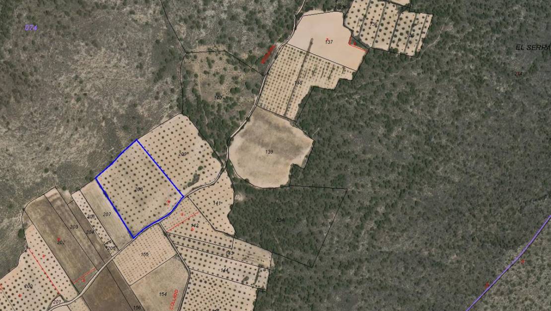 Sale - Land - Yecla - Yecla Centro